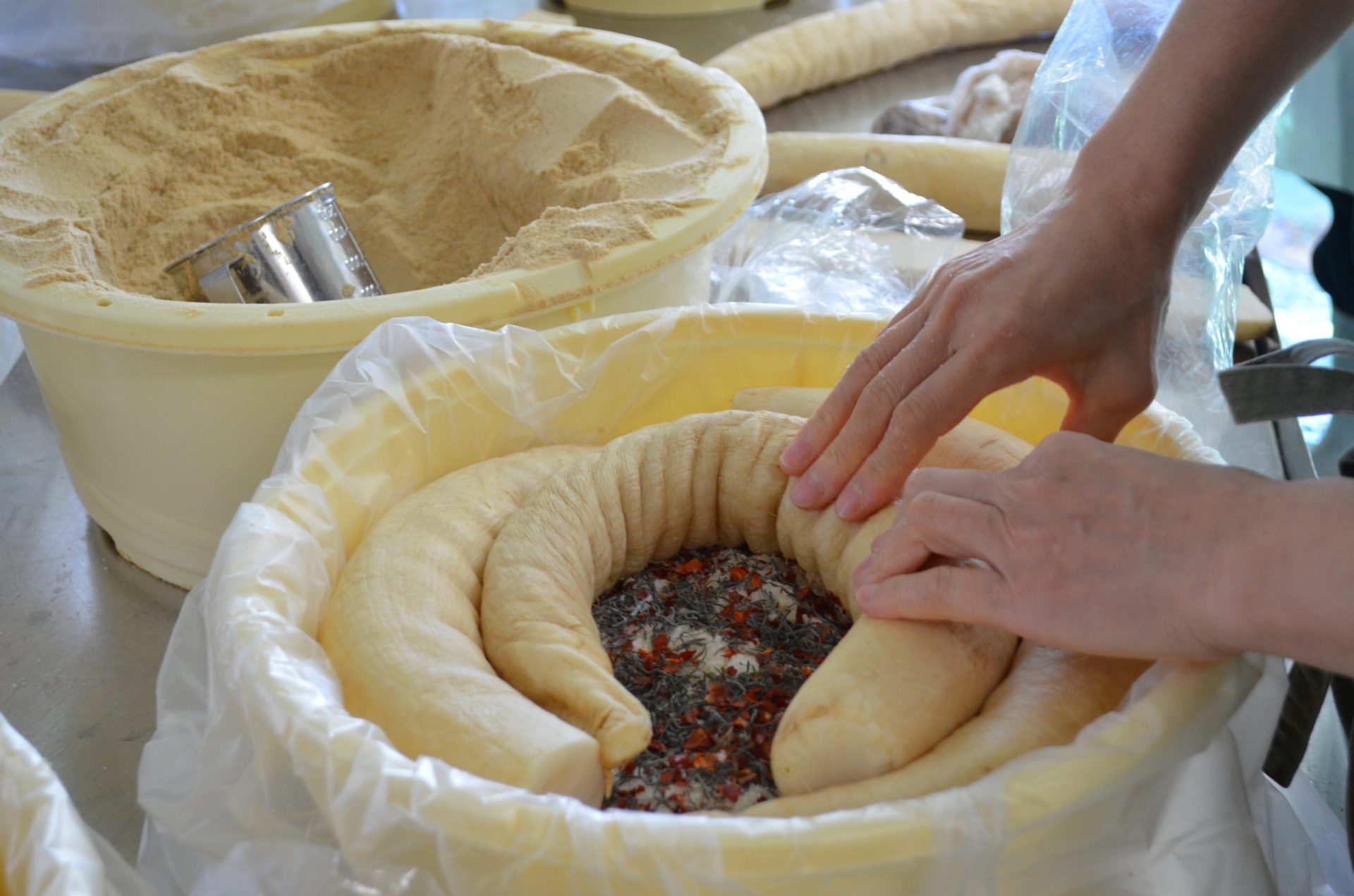 99157発酵のチカラで味わい深まる！寒干したくあん仕込み体験｜マルツ食品株式会社